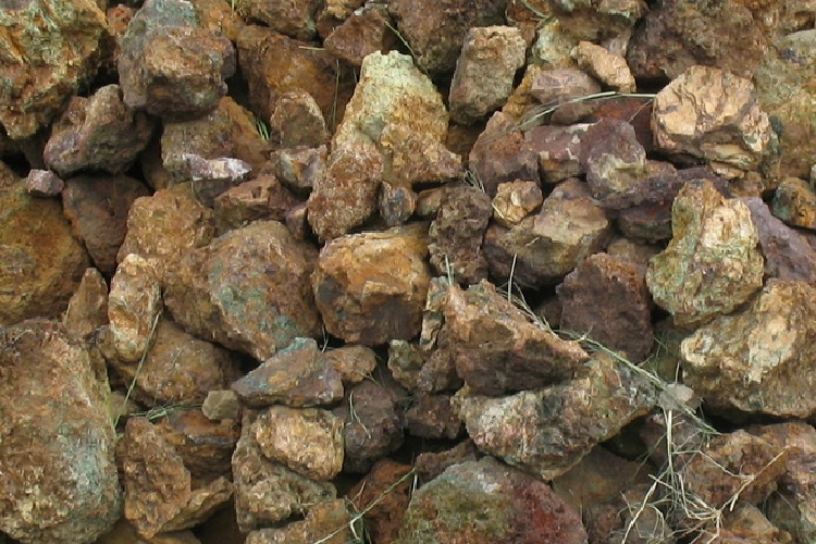 1699956573c99c90 1699956573c99c90