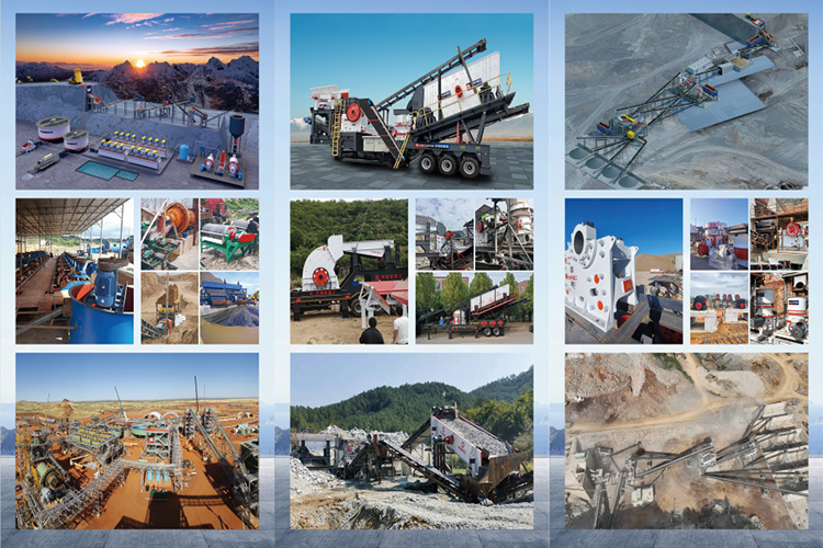 South Africa Exhibition3