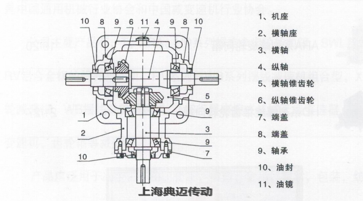 T系列螺旋伞齿轮转向箱结构
